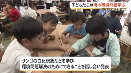 サンゴと海を守るためにできることは？　とよみ小児童が環境問題の探究授業