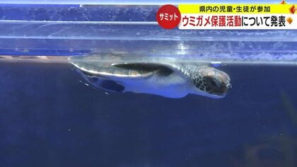 “ウミガメ天国”鹿児島で「サミット」 保護活動に頑張る子どもたちが一堂に　自分たちができることを…