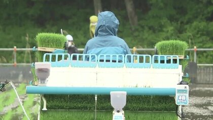 除染土を再利用し農作物を栽培　市場出荷を目指すフェーズへ　県外で最終処分…なのに福島県でしか進まぬ実証事業