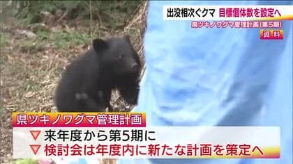 福島県でも出没相次ぐクマ　個体数の“維持”から“管理”へ　ツキノワグマ管理計画の議論はじまる