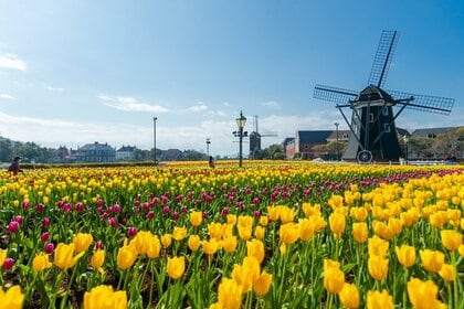 「ハウステンボスでしたいこと」ランキング ～1位は街並み散策？アトラクション？ 阪急交通社が公開～