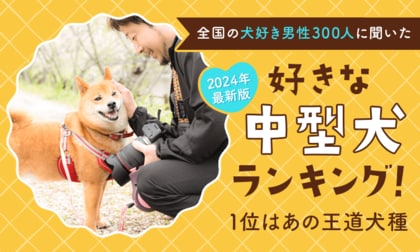 【2024年最新版:全国の犬好き男性300人に聞いた】好きな中型犬ランキング!1位はあの王道犬種
