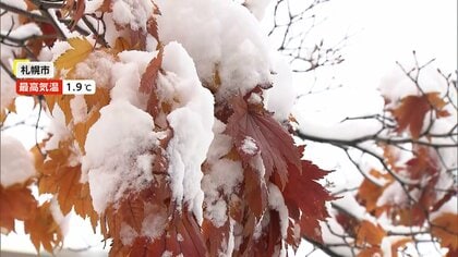 一面「銀世界」に…札幌市では今年初の積雪で“冬の風物詩”「ササラ電車」初出動　代々木にも“雪”?「東京雪祭」で子どもたち大喜び！