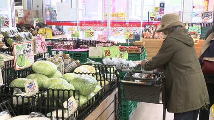 【4月から値上げラッシュ】カップヌードルやマヨネーズなど“2798品目”…野菜はお買い得傾向に！気になるタマゴとコメはスーパーで”品切れ状態”…でもその原因は全く違うものに〈北海道〉