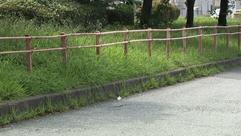 「土下座しろ」男子高校生に暴行、現金など奪ったか　少年5人逮捕　“交際相手と一緒に登校”不満募らせたか　東京・足立区
