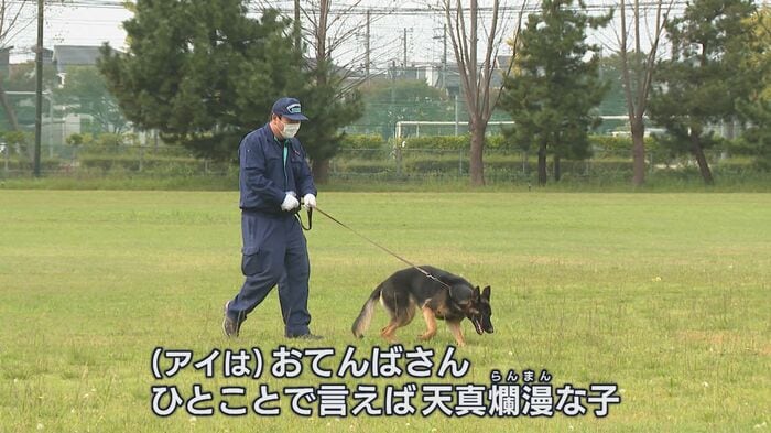吉田優也主任と訓練をするアイ