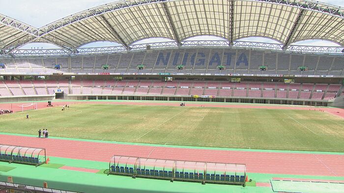 芝生が枯れてしまったデンカビッグスワン(9月)