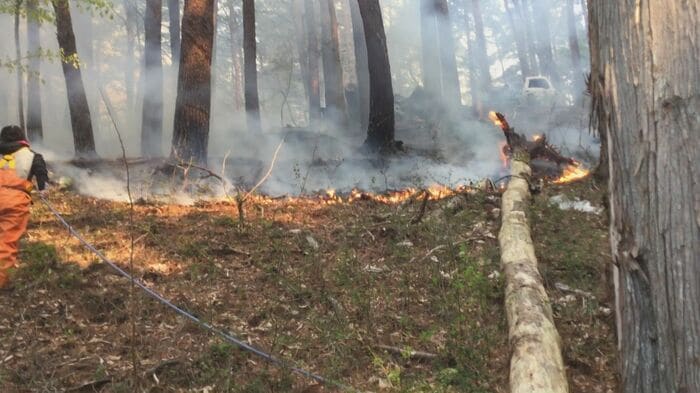 山林火災の炎が竹内さんの自宅に迫る（大槌町）