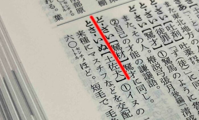 『広辞苑 第七版』には「トサイヌ」はあるが「トサケン」はない(赤線は筆者)