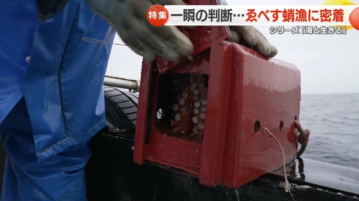 中には大物が!角つぼを開ける瞬間
