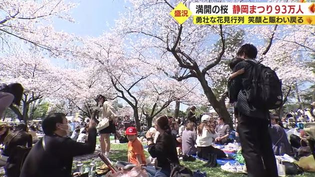 駿府城公園は桜が満開(2023年4月1日)