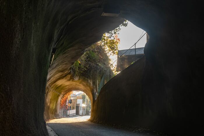 大分県　小迫トンネル（2023年1月撮影）