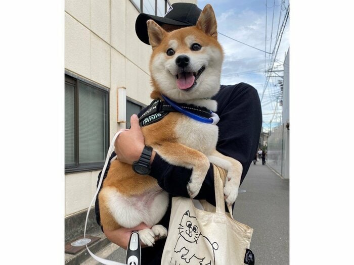 投稿の写真