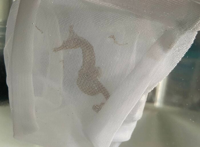 提供:アルト自然派さん