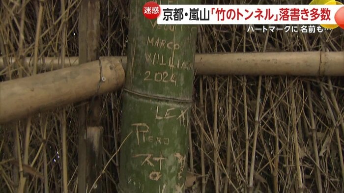 上から下までびっしり落書きされた竹