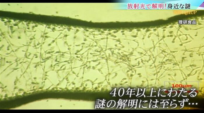 反射光を当てたワカメの画像 謎解明には至らず(提供:理研食品)