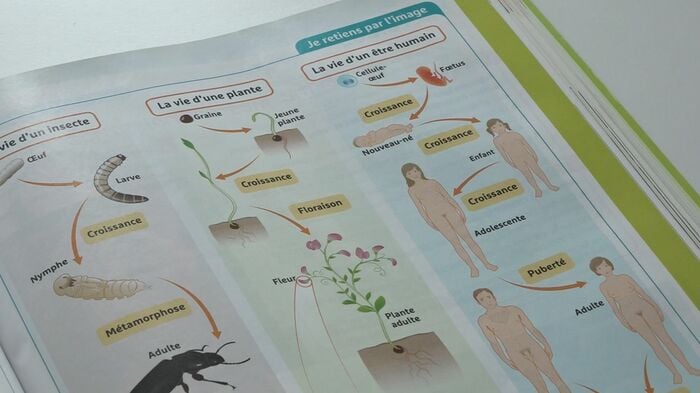 「性」を扱う理科の教科書