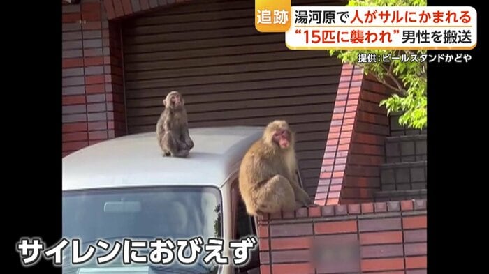 救急車のサイレンにもおびえず