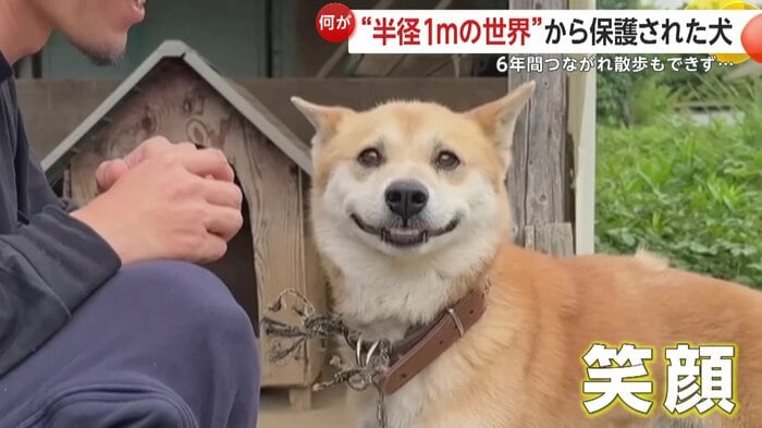 打ち解けるとリラックスした表情を見せたジョン(映像提供:あにまるず Animals)