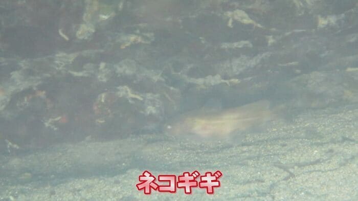 ニュースONE