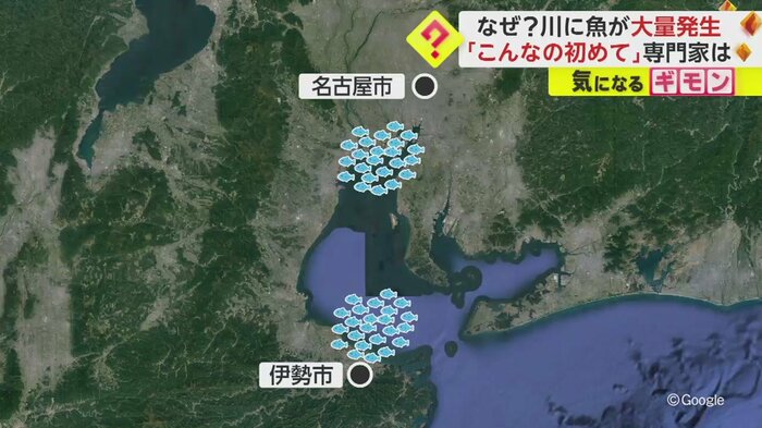 移動した後、同じタイミングで目撃されたのだろうか?