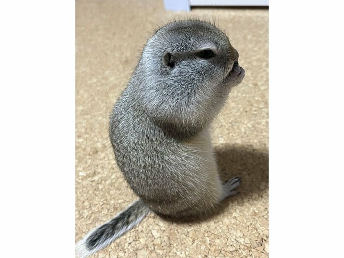 1枚目の写真