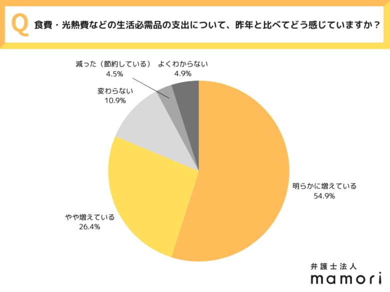 「年収は変わらないのに支出だけが増える…」全国20~50代の男女550名の調査で発覚!物価高時代の“見えない家計崩壊”の実態~弁護士法人mamori調べ