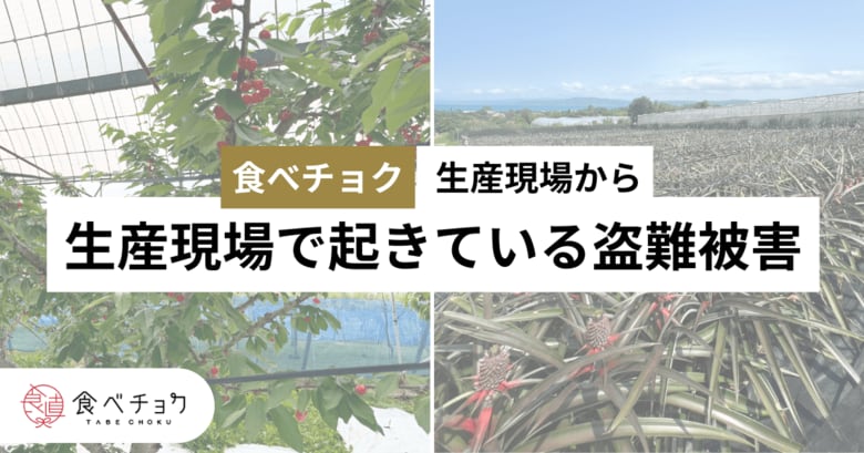 農産物の盗難、現場検証に2～3時間立ち会っても犯人特定はほぼ不可能。食べチョク、被害生産者の証言を公開