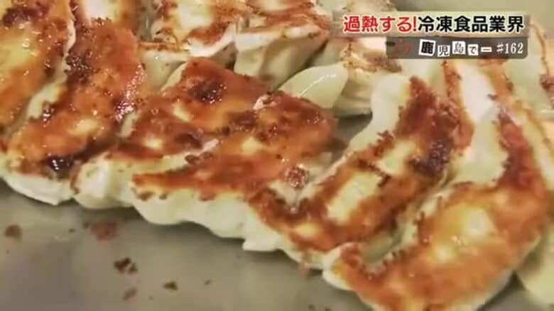 食材の有効活用でフードロス、野菜高騰対策に! 鹿児島の冷凍ギョーザが発信する冷凍食品の新たな可能性|FNNプライムオンライン