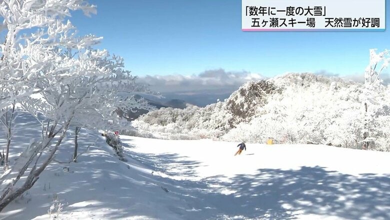 今季最強・最長寒波で“極上のパウダースノー”に恵まれる 「人工降雪機の稼働減」で人件費削減にも 五ヶ瀬ハイランドスキー場 3年ぶりのシーズンに追い風｜FNNプライムオンライン
