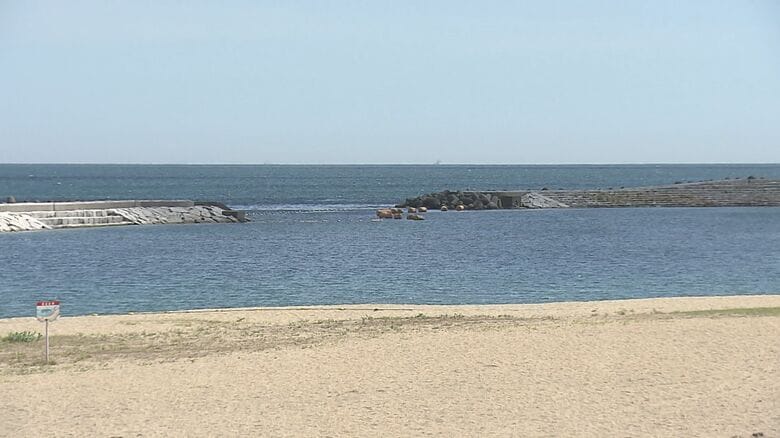 田ノ浦ビーチに「ハンマーヘッドシャーク」か　市がマリンスポーツ禁止呼び掛け「海に近づかないように」｜FNNプライムオンライン