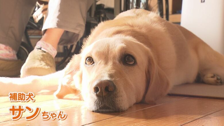 「携帯を持って来てくれる存在」介助犬は“命綱”  筋ジストロフィーの男性 人生変えた介助犬との生活【福岡発】｜FNNプライムオンライン