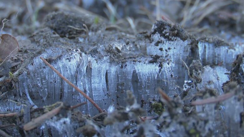 軽井沢で氷点下4.8度　全国で3番目の冷え込み　地面にびっしり「霜柱」　松本市奈川で全国最低の氷点下5.4度　日中は春らしい陽気に　予想最高気温は長野14度・松本16度・飯田18度｜FNNプライムオンライン