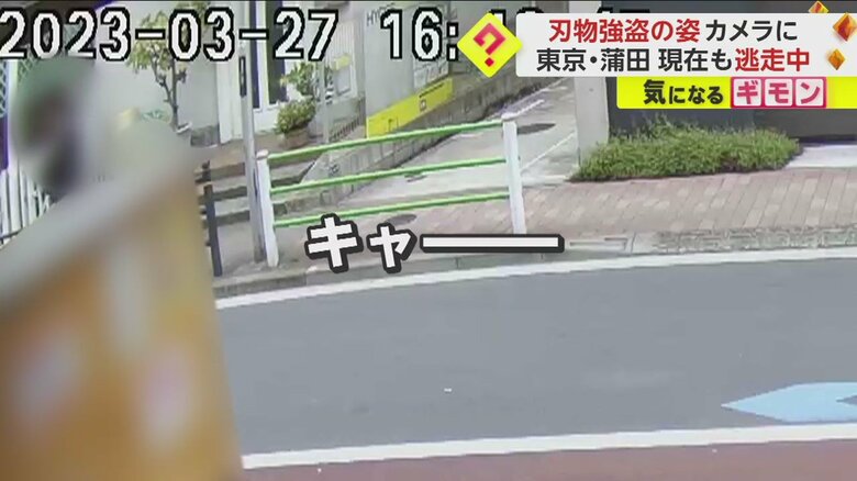 女性の叫び声が響いた