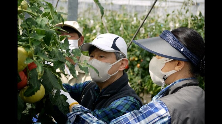 令和5年4月(提供：宮内庁)