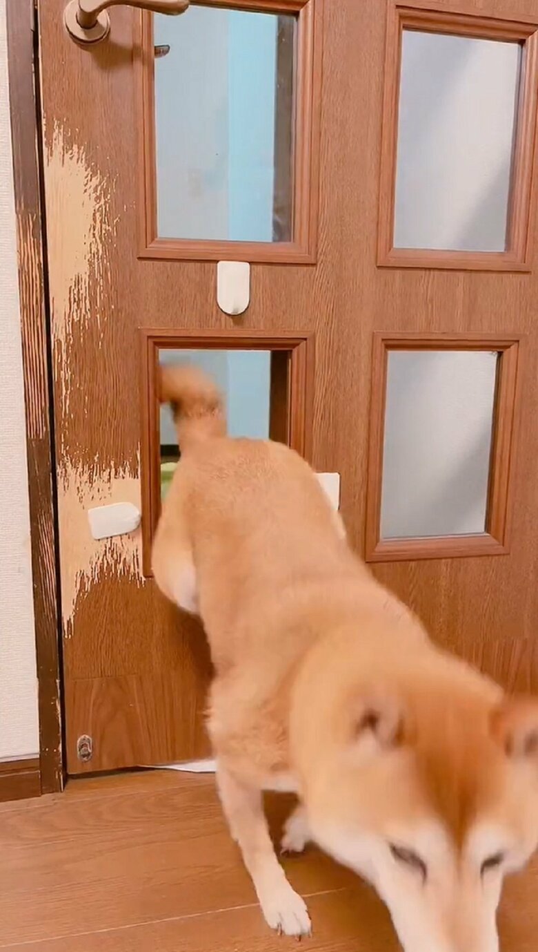 ムックパパさんも思わず「下手くそか！」と声を上げる