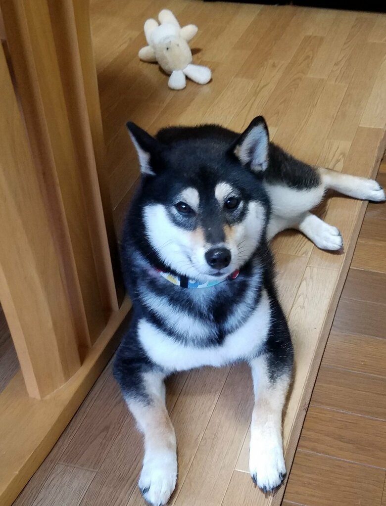 提供：掃除魔さん