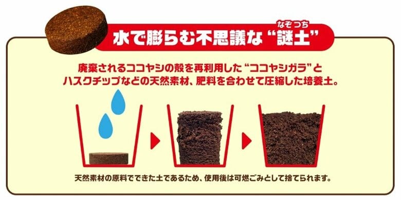 （日清食品公式サイトより）※画像はイメージ