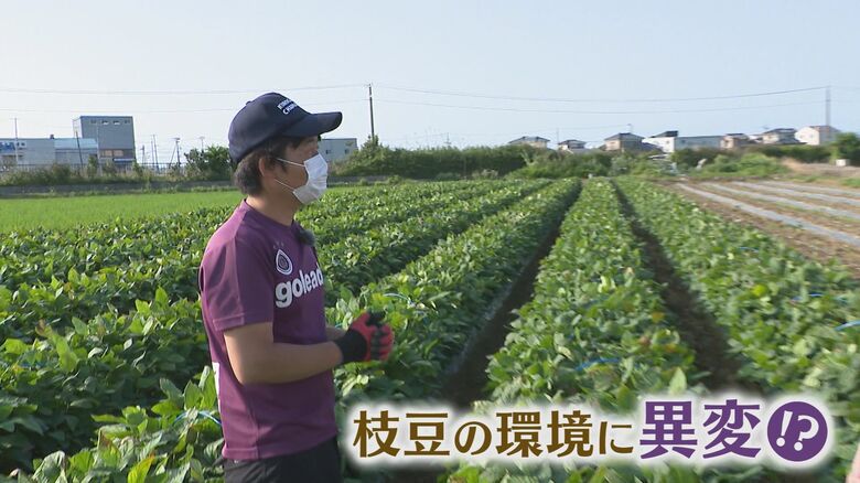 保苅農園（新潟市西区）