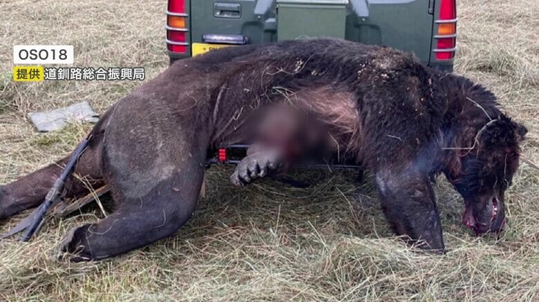 提供：道釧路総合振興局