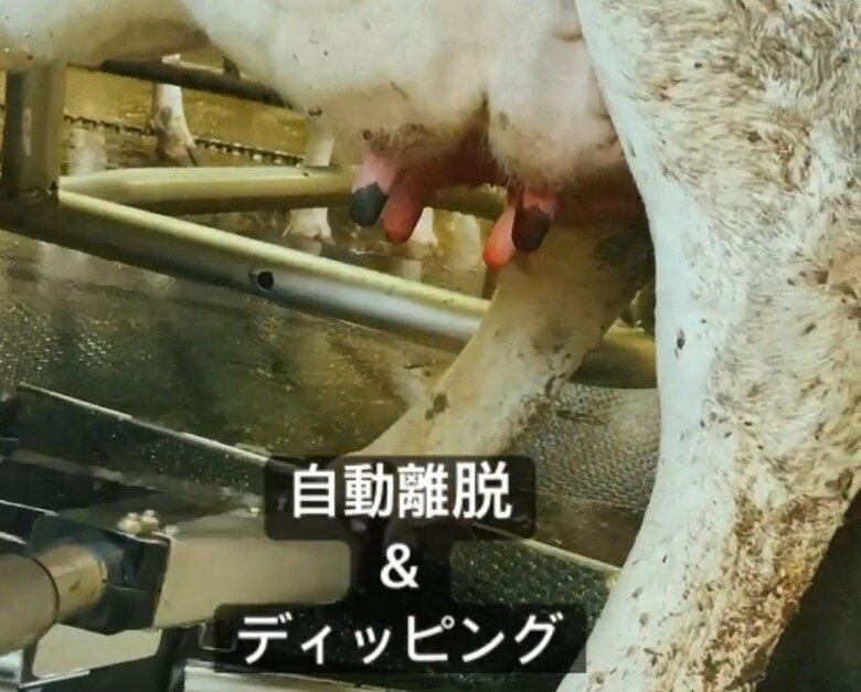 搾乳を終えるとカップは自動で外れる