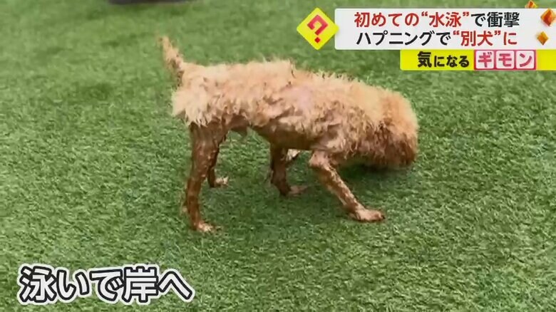 

（FNN投稿サイト「ビデオPost」）

（FNN投稿サイト「ビデオPost」）