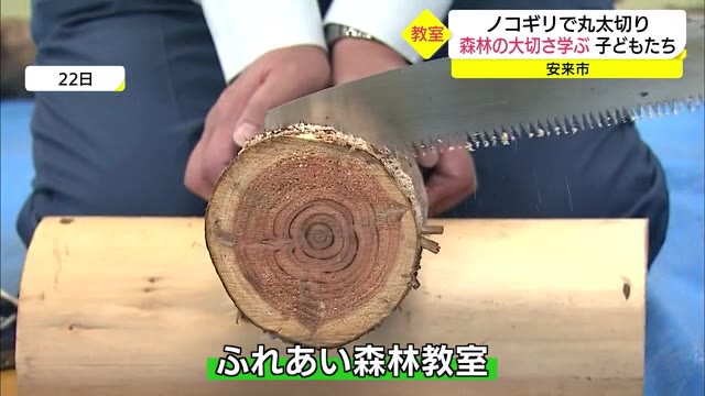 ノコギリで丸太切りを体験 児童が学ぶ森林の大切さ 安来市
