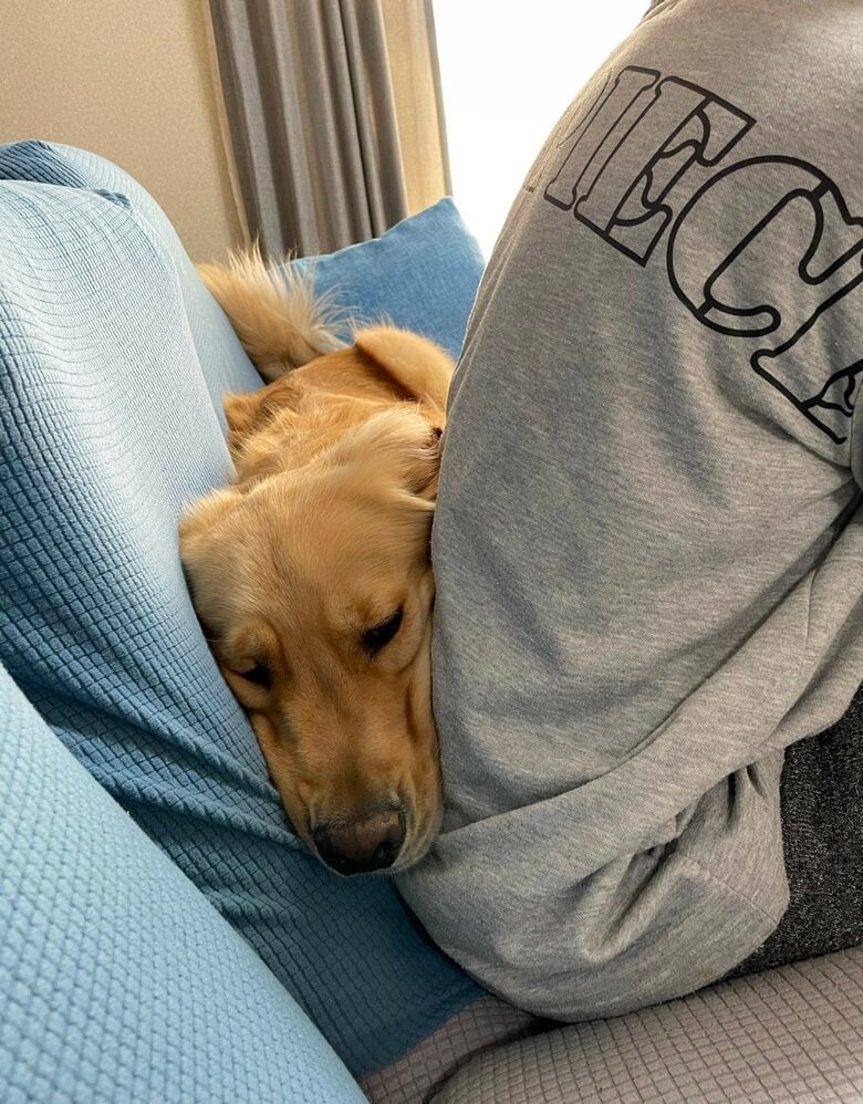 ここからはセナくんの様子。自宅でいい感じの場所を見つけた