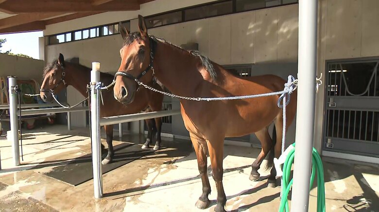 「馬車列」を終えた「岸菖」（左）と「咲姫」（右）