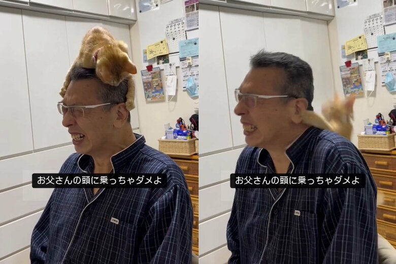 やはり痛そうだ…（提供：cohakuさん）
