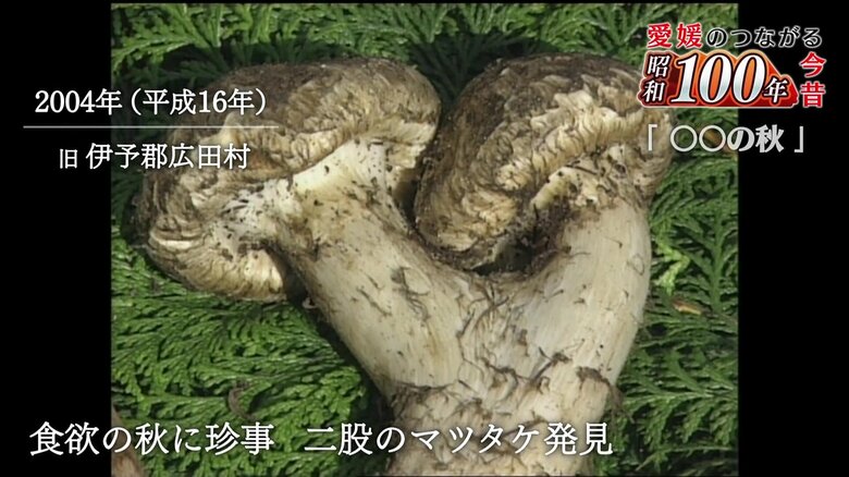 「金を掘り当てたような気分」と大興奮