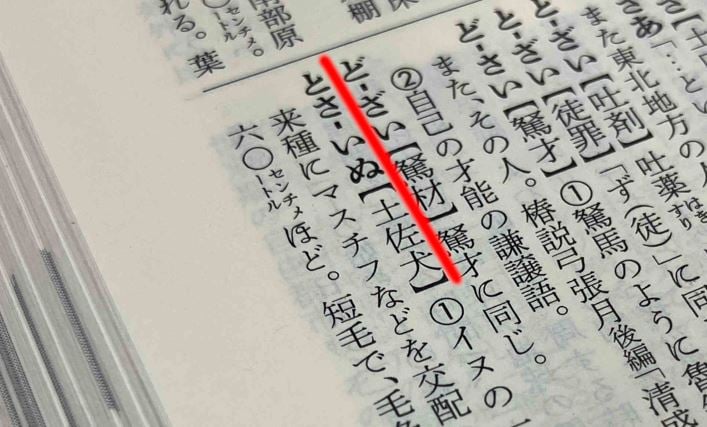 『広辞苑 第七版』には「トサイヌ」はあるが「トサケン」はない（赤線は筆者）