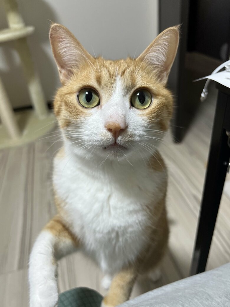 お仕事終わった？