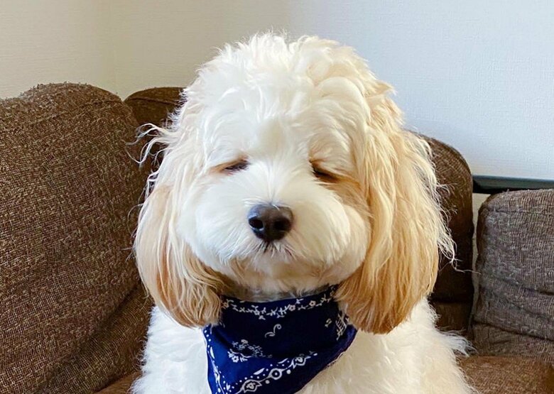 提供：宮原幸恵さん